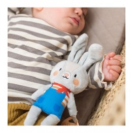 Taf Toys Κρεμαστό Παιχνίδι Κούνιας και Καροτσιού με Μασητικό Rylee The Bunny 13005